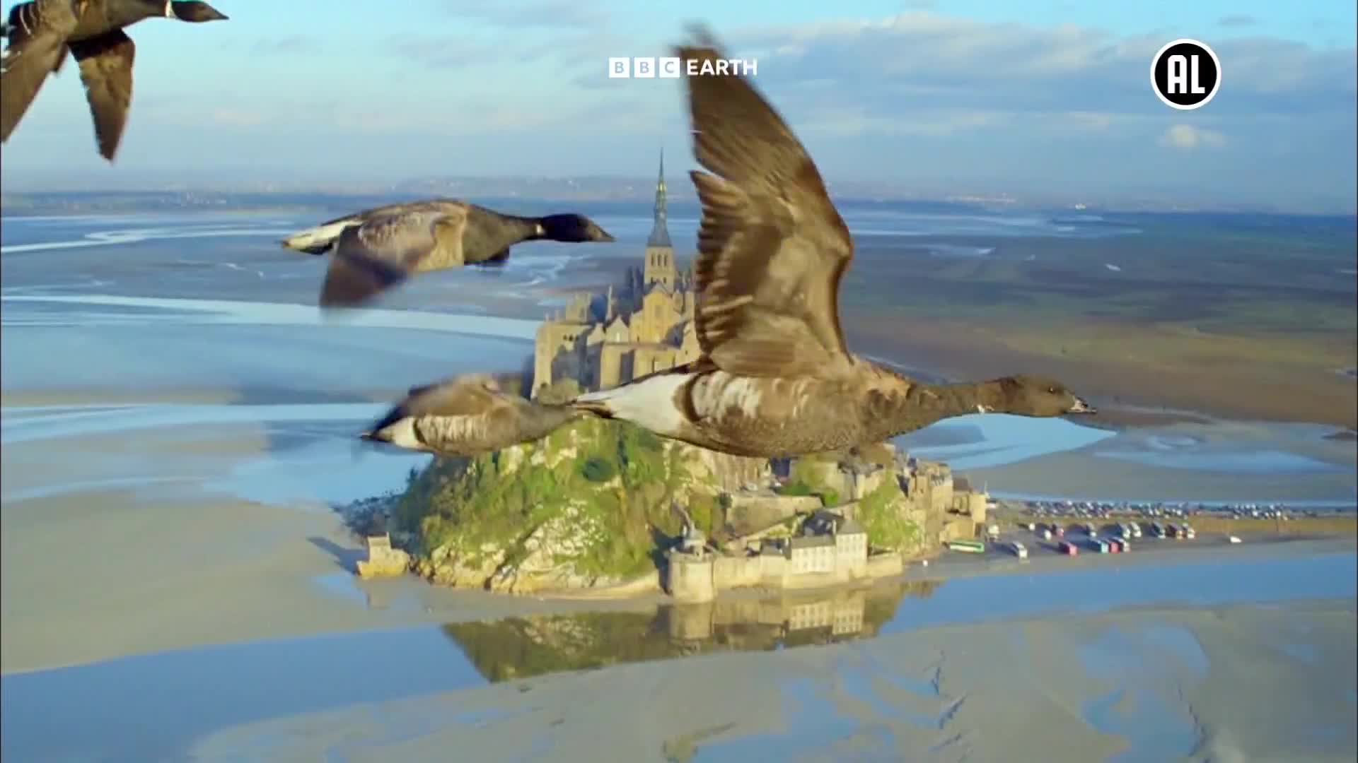 BBCEarth