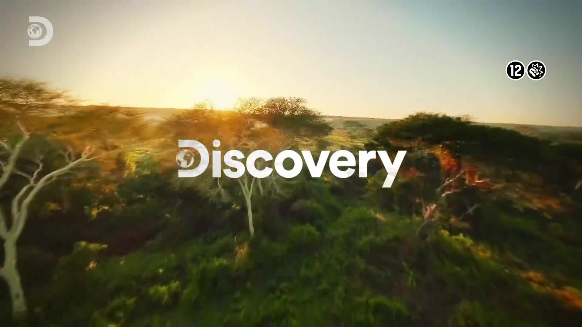 ViasatExplorer