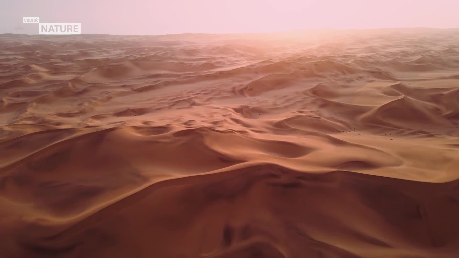 ViasatNature