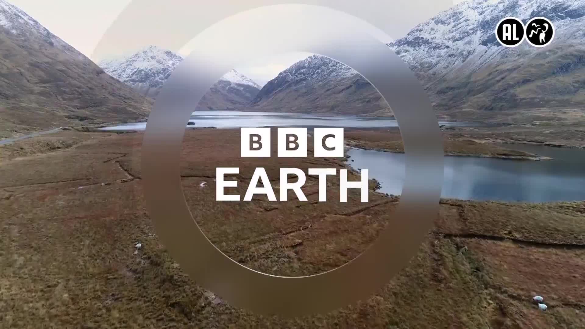 BBCEarth