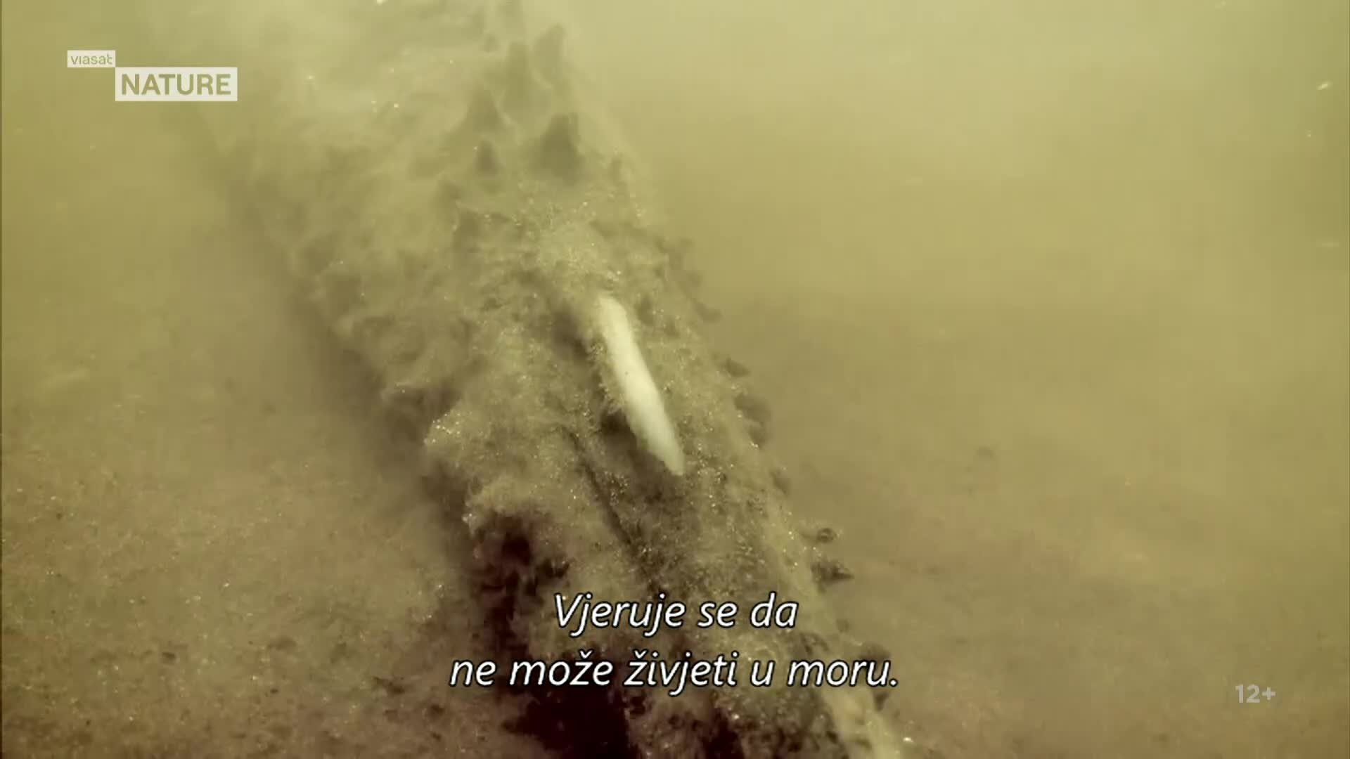 ViasatNature
