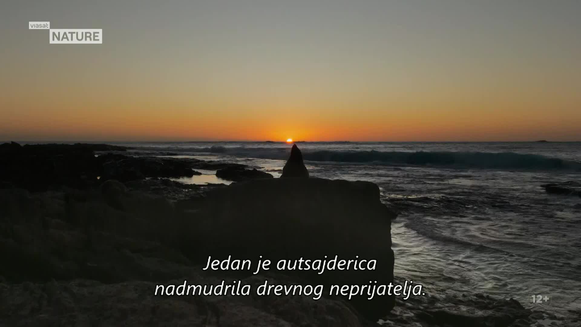 ViasatNature