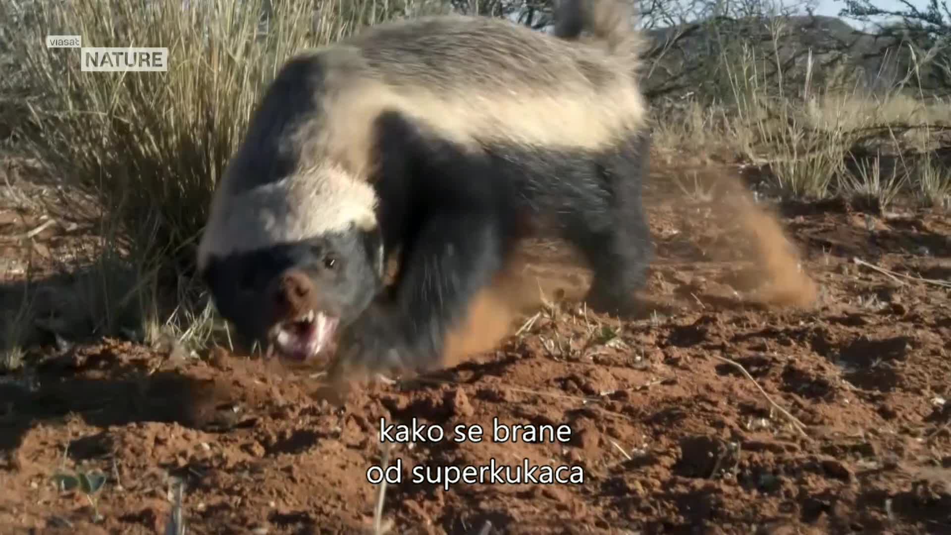 ViasatNature