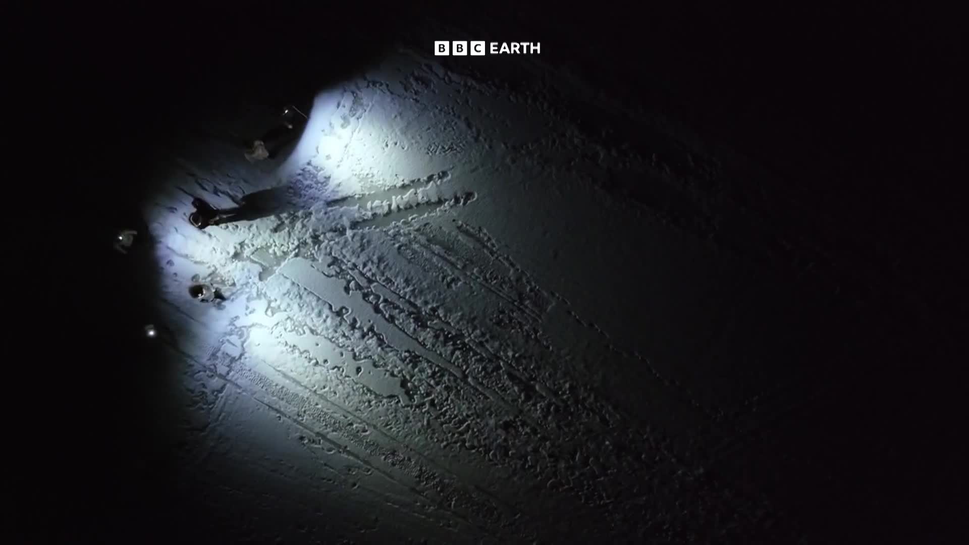 BBCEarth