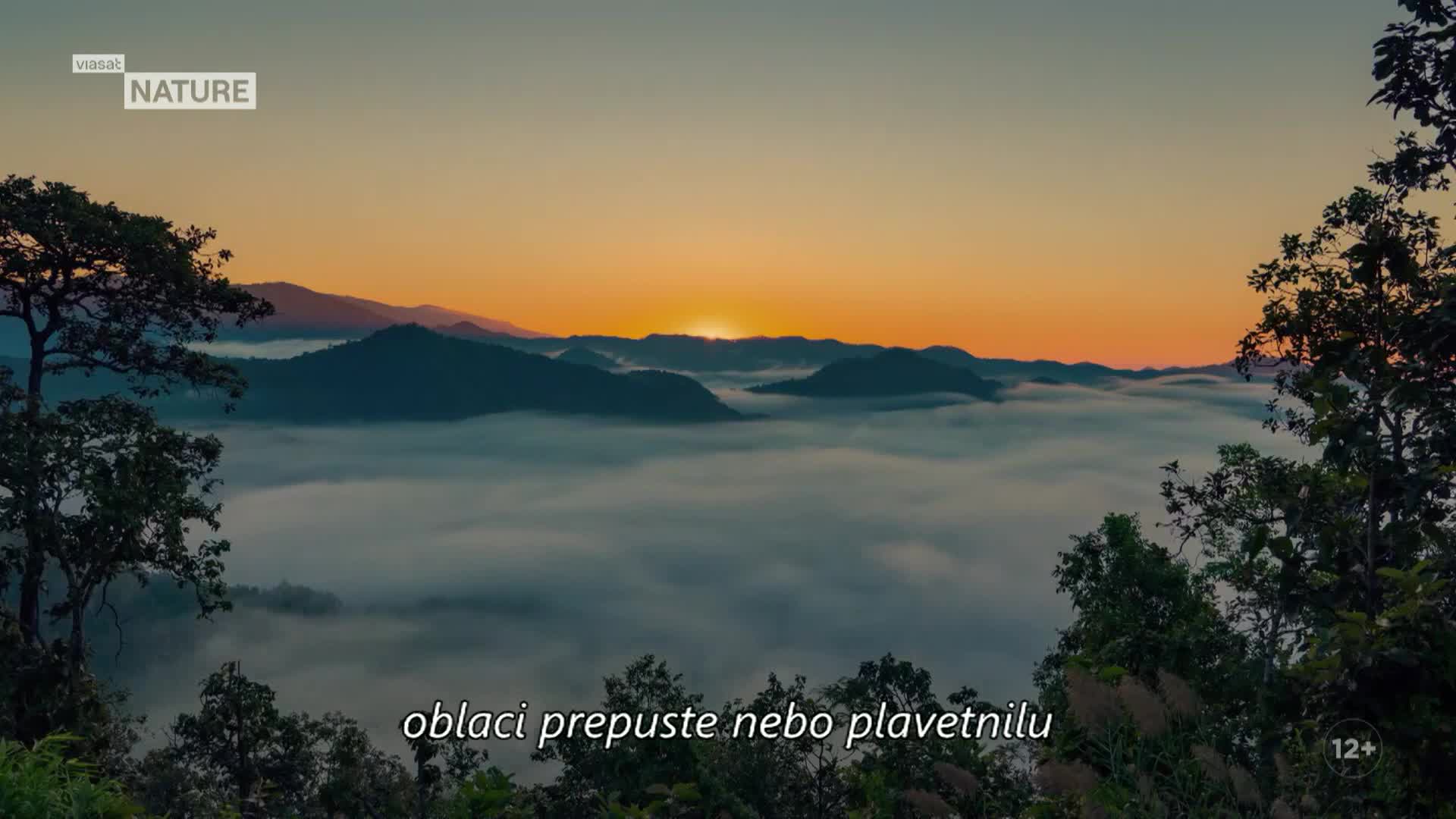 ViasatNature