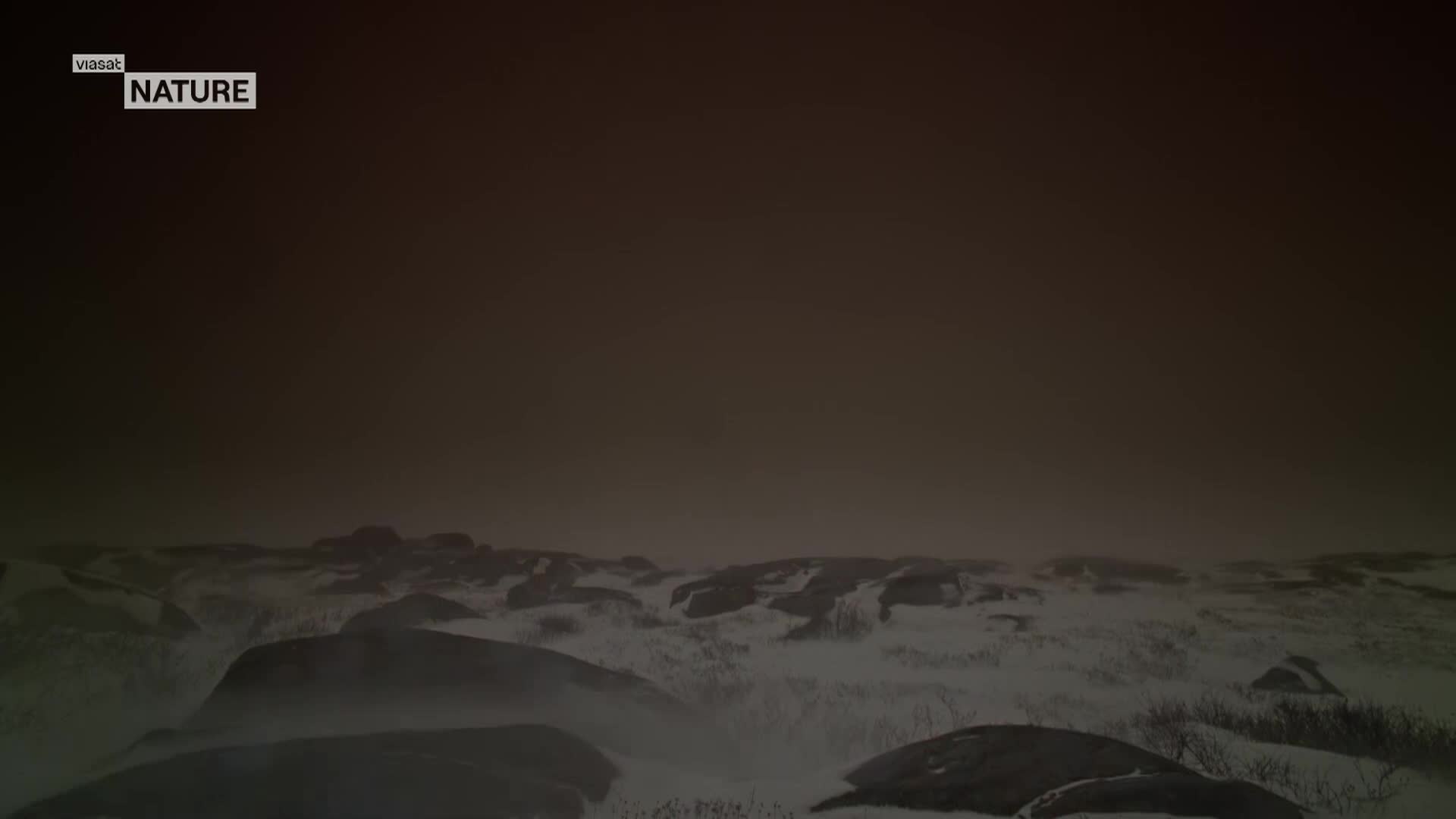 ViasatNature