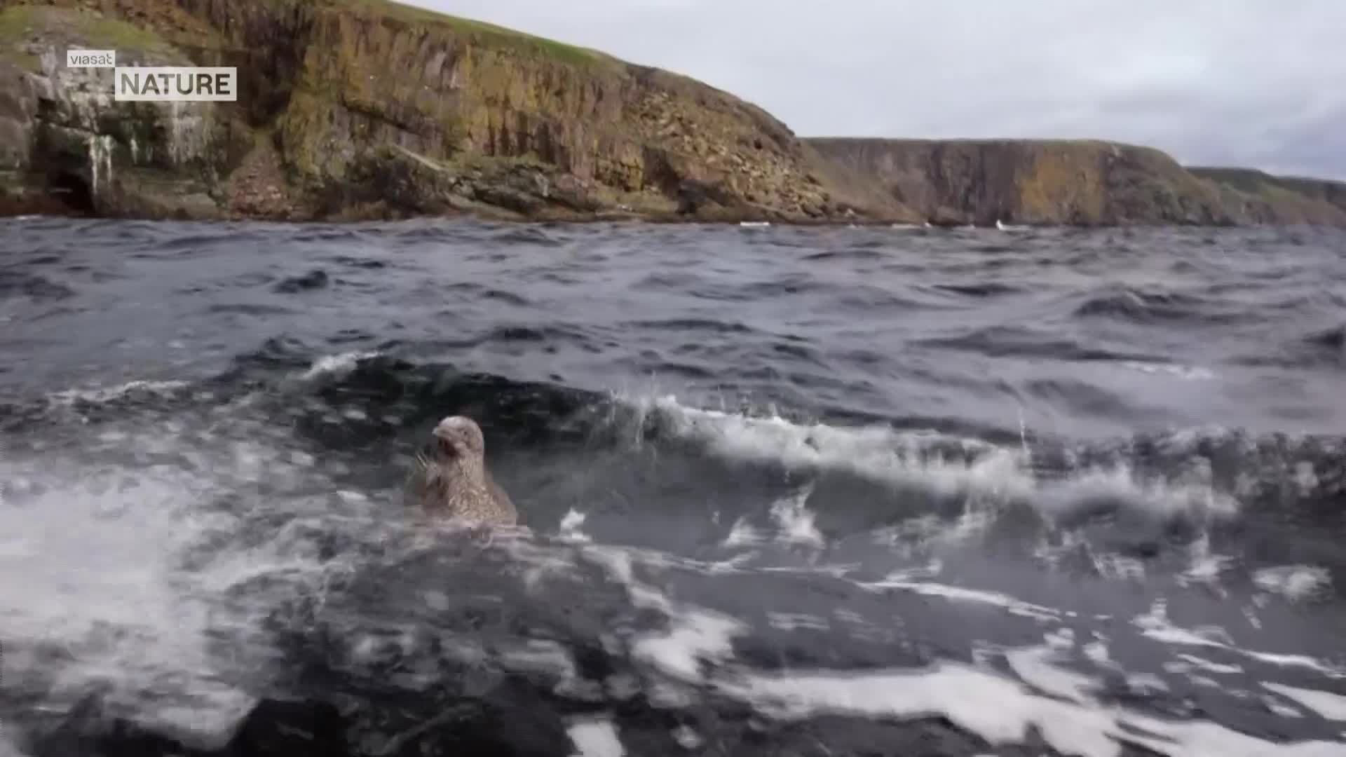 ViasatNature