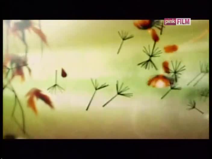 PinkFilm