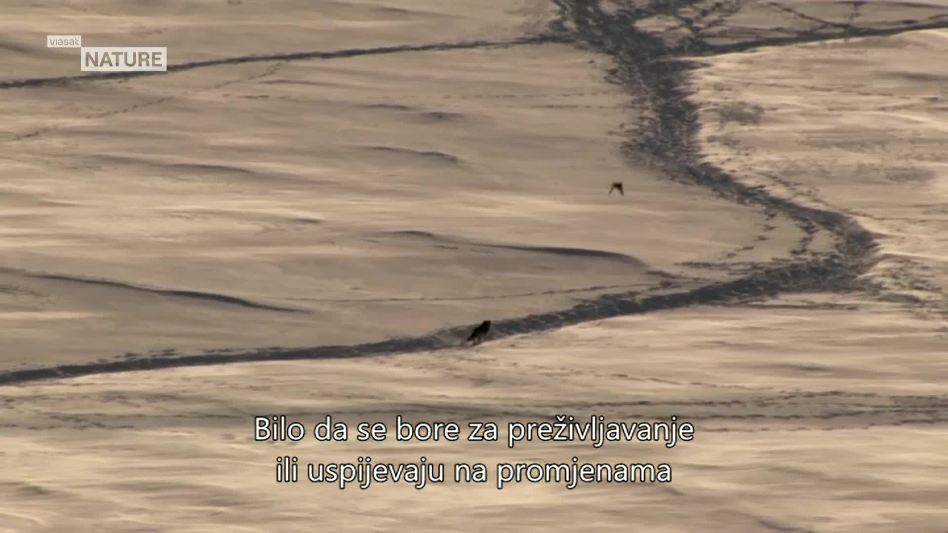 ViasatNature