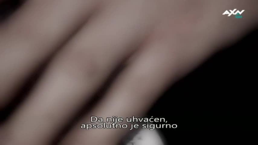 AXNSpin