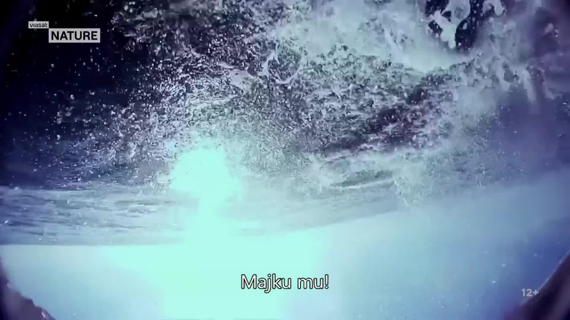 ViasatNature