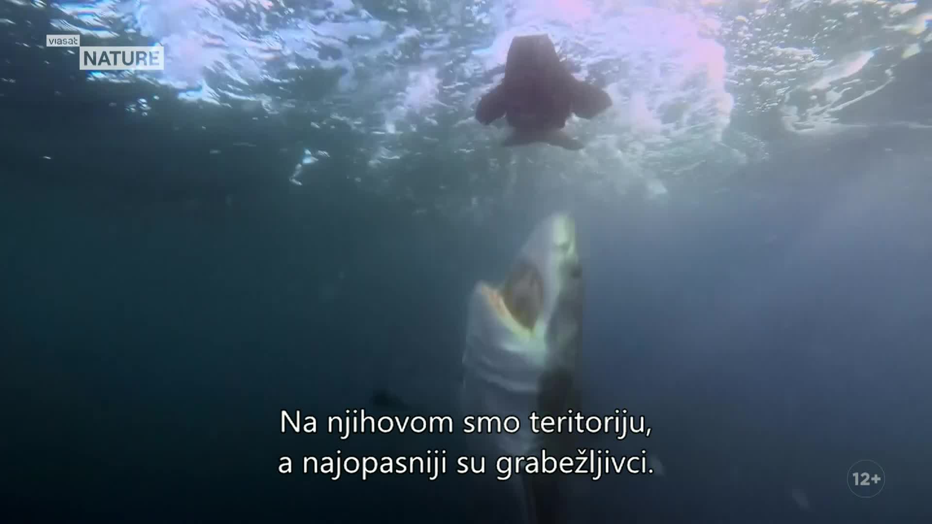 ViasatNature