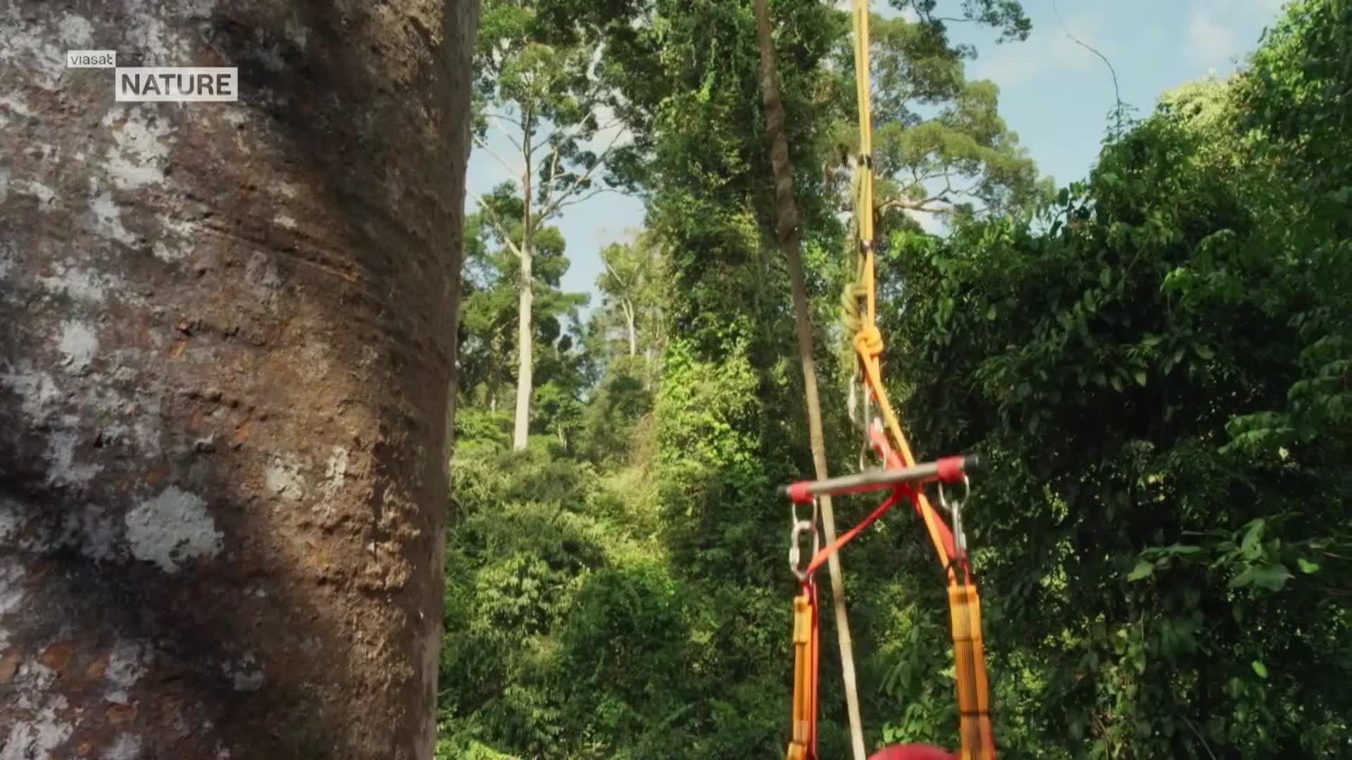 ViasatNature