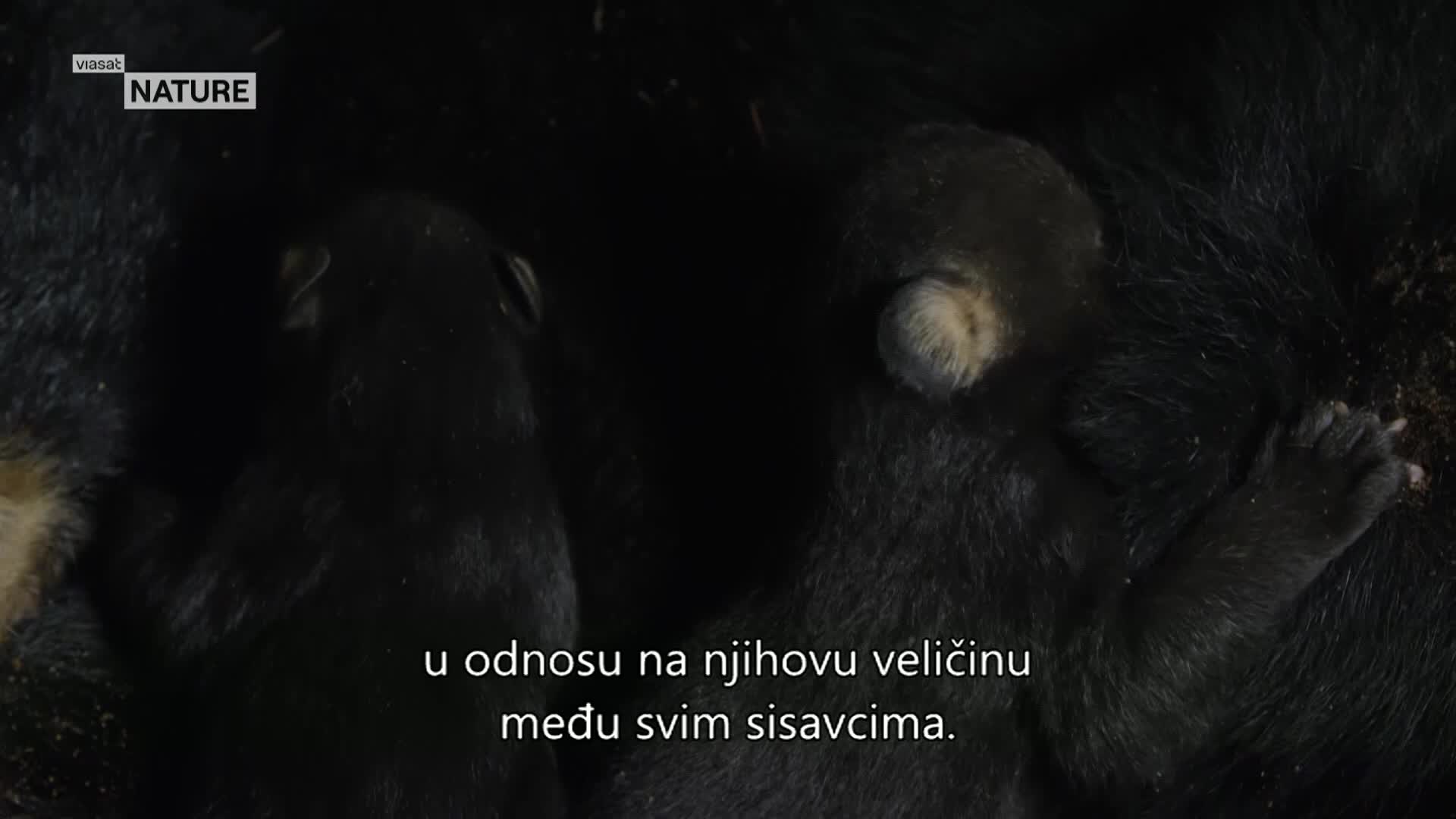 ViasatNature