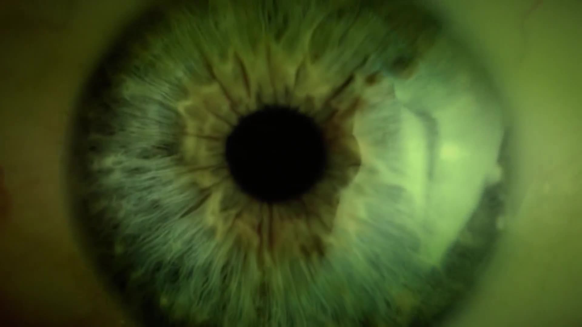 History2