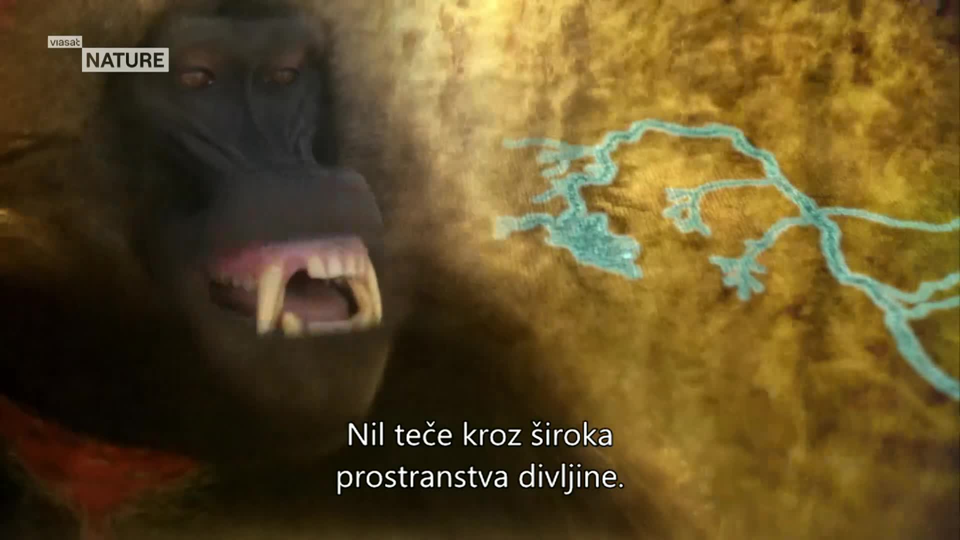 ViasatNature