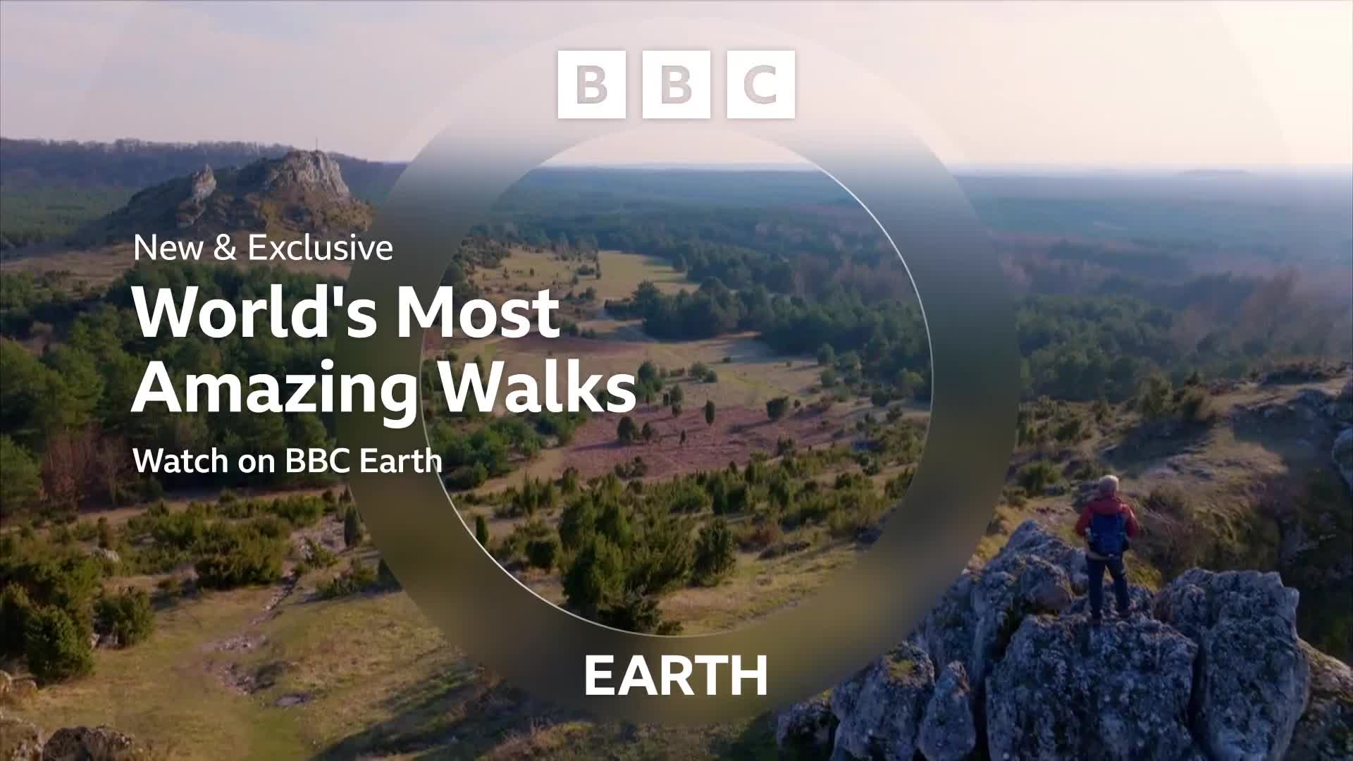 BBCEarth