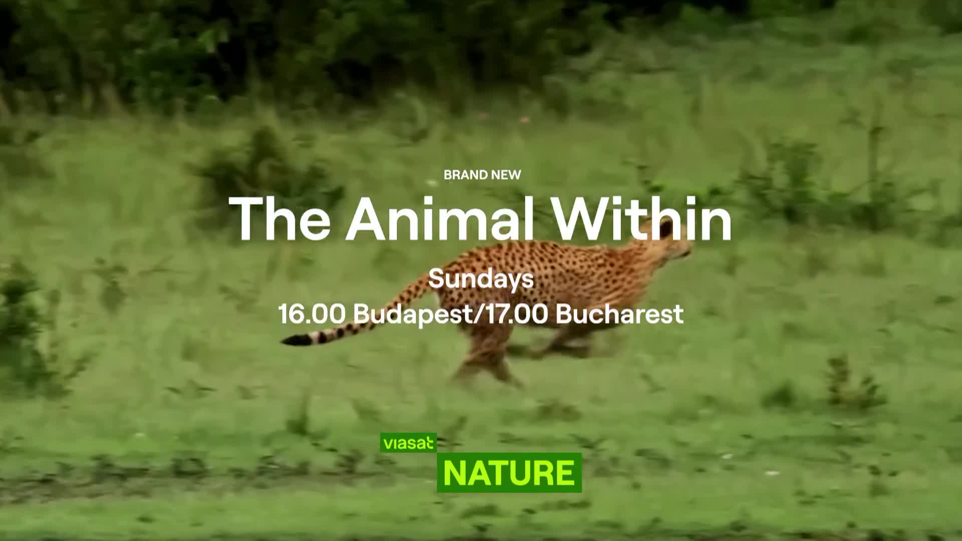 ViasatNature