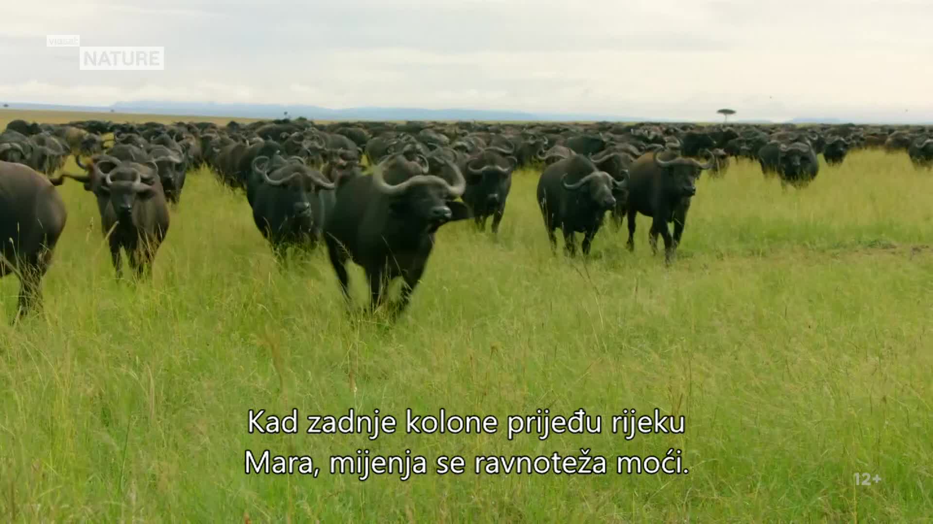 ViasatNature
