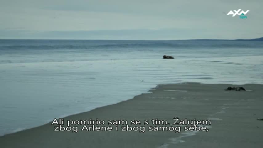 AXNSpin