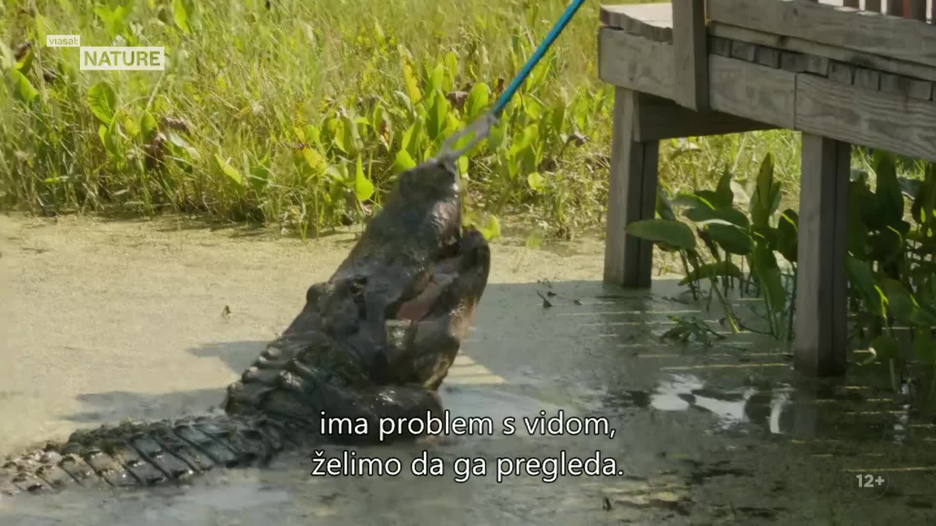 ViasatNature
