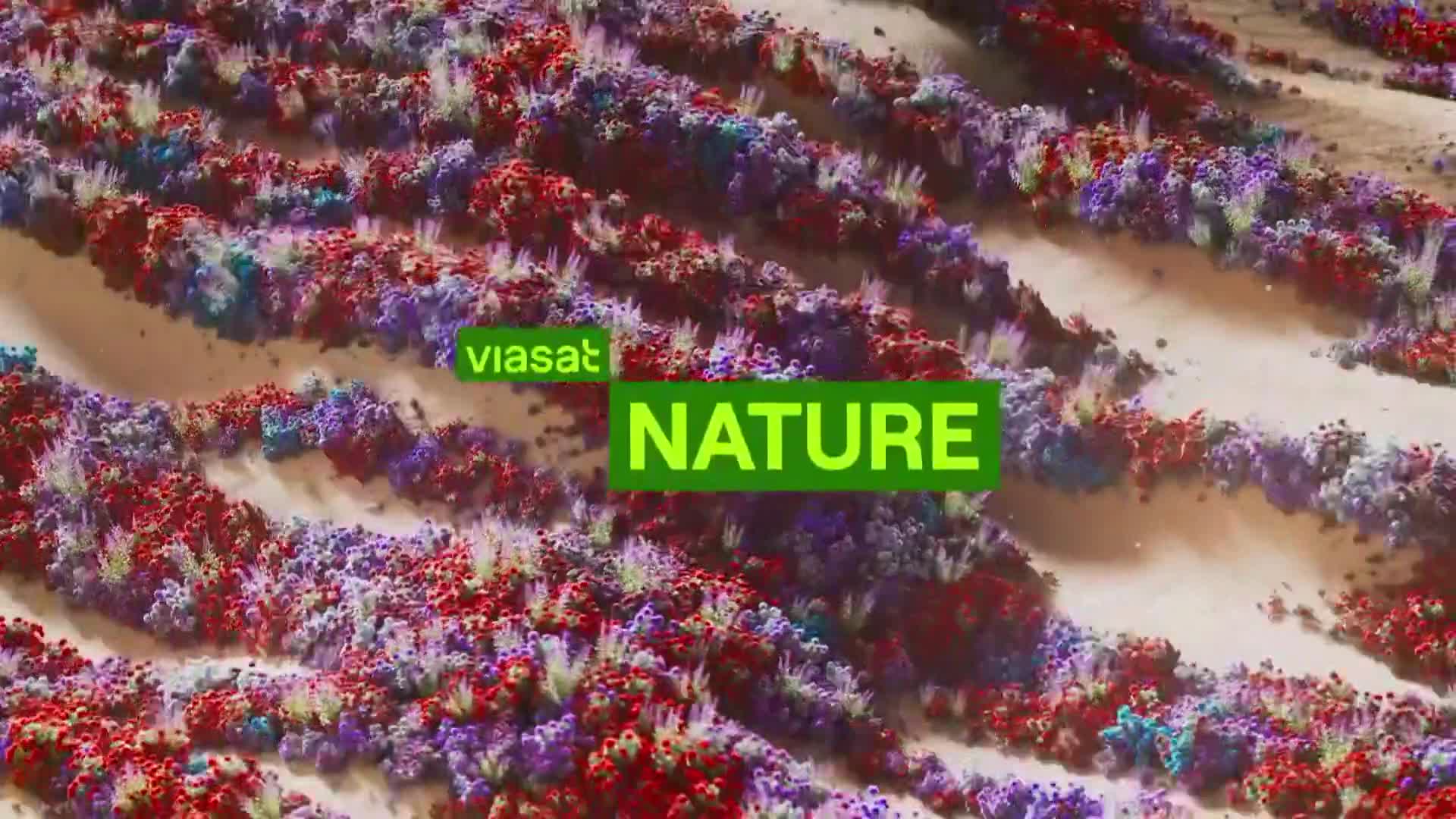 ViasatNature