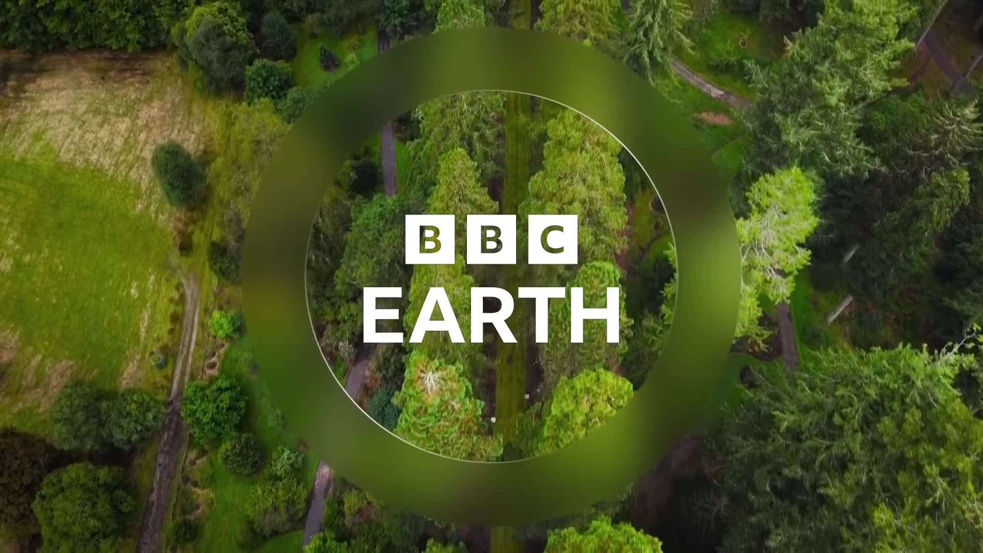 BBCEarth