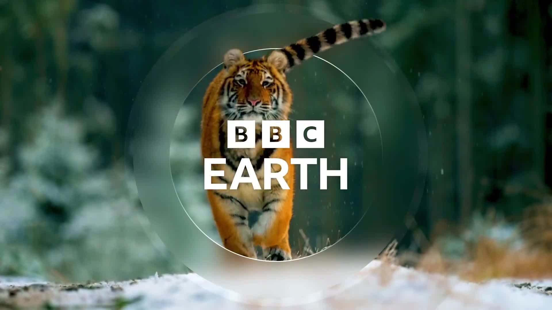 BBCEarth