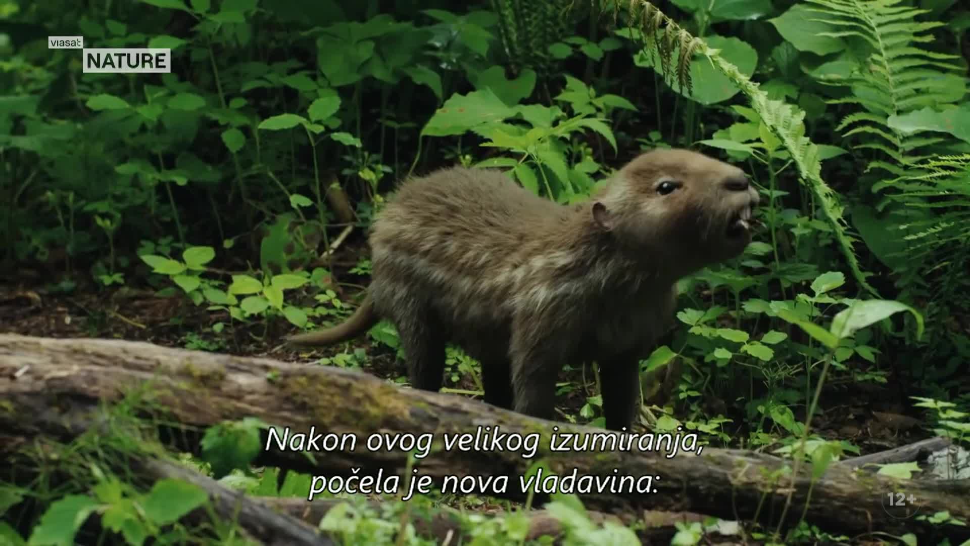 ViasatNature