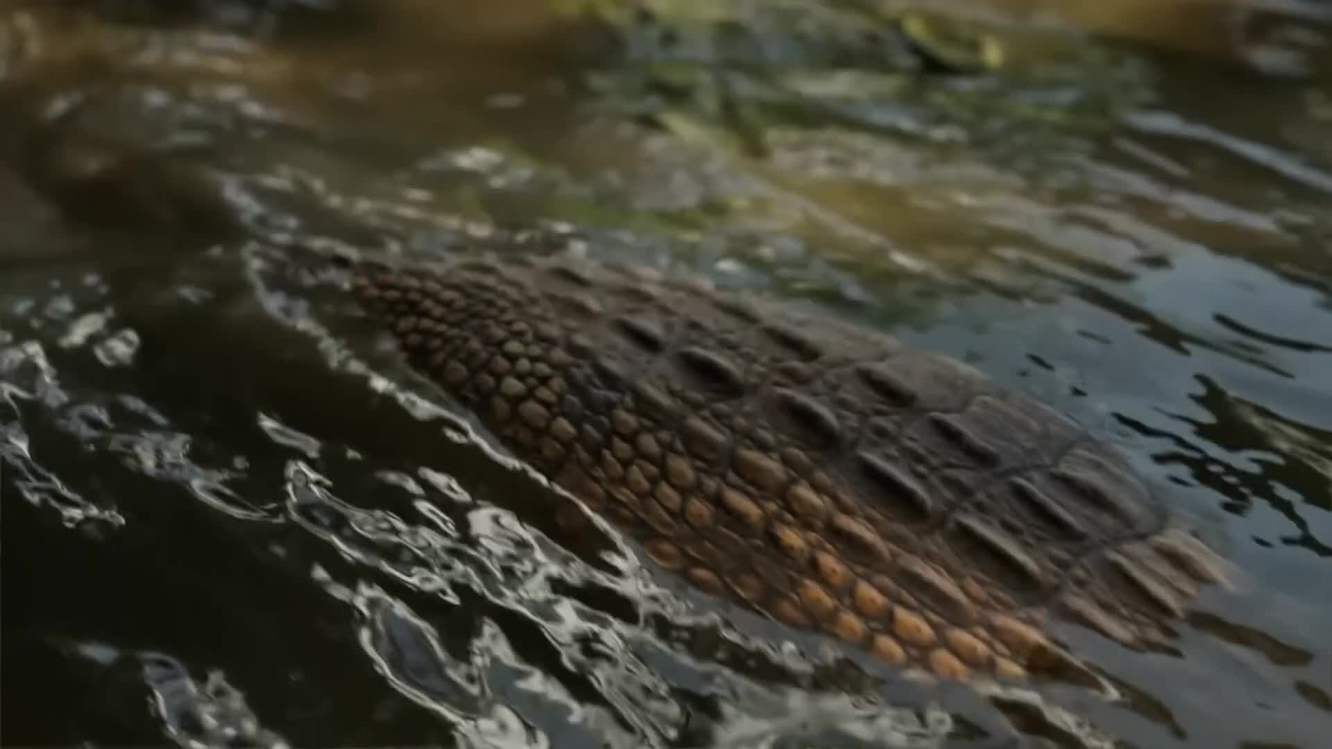 ViasatNature
