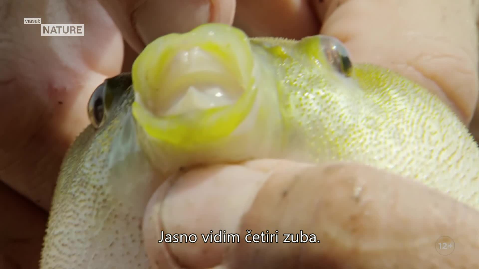 ViasatNature