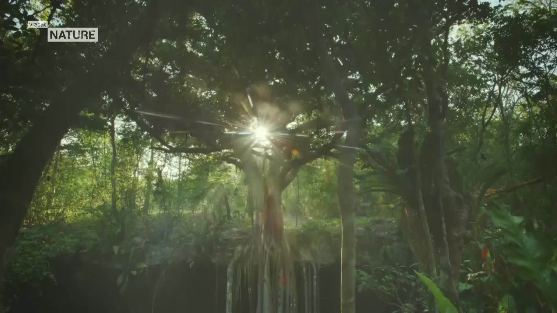 ViasatNature