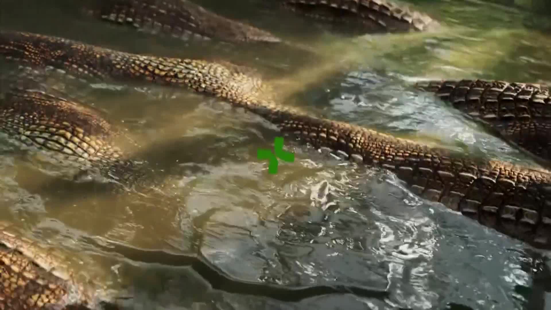 ViasatNature