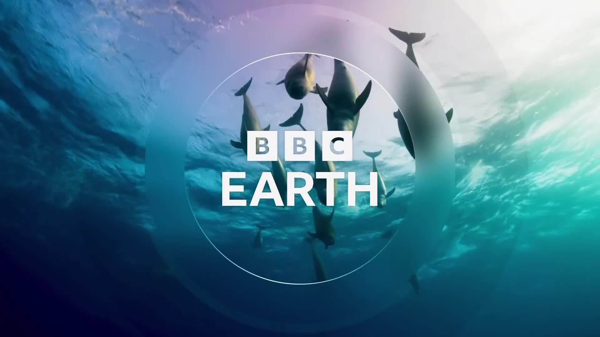 BBCEarth