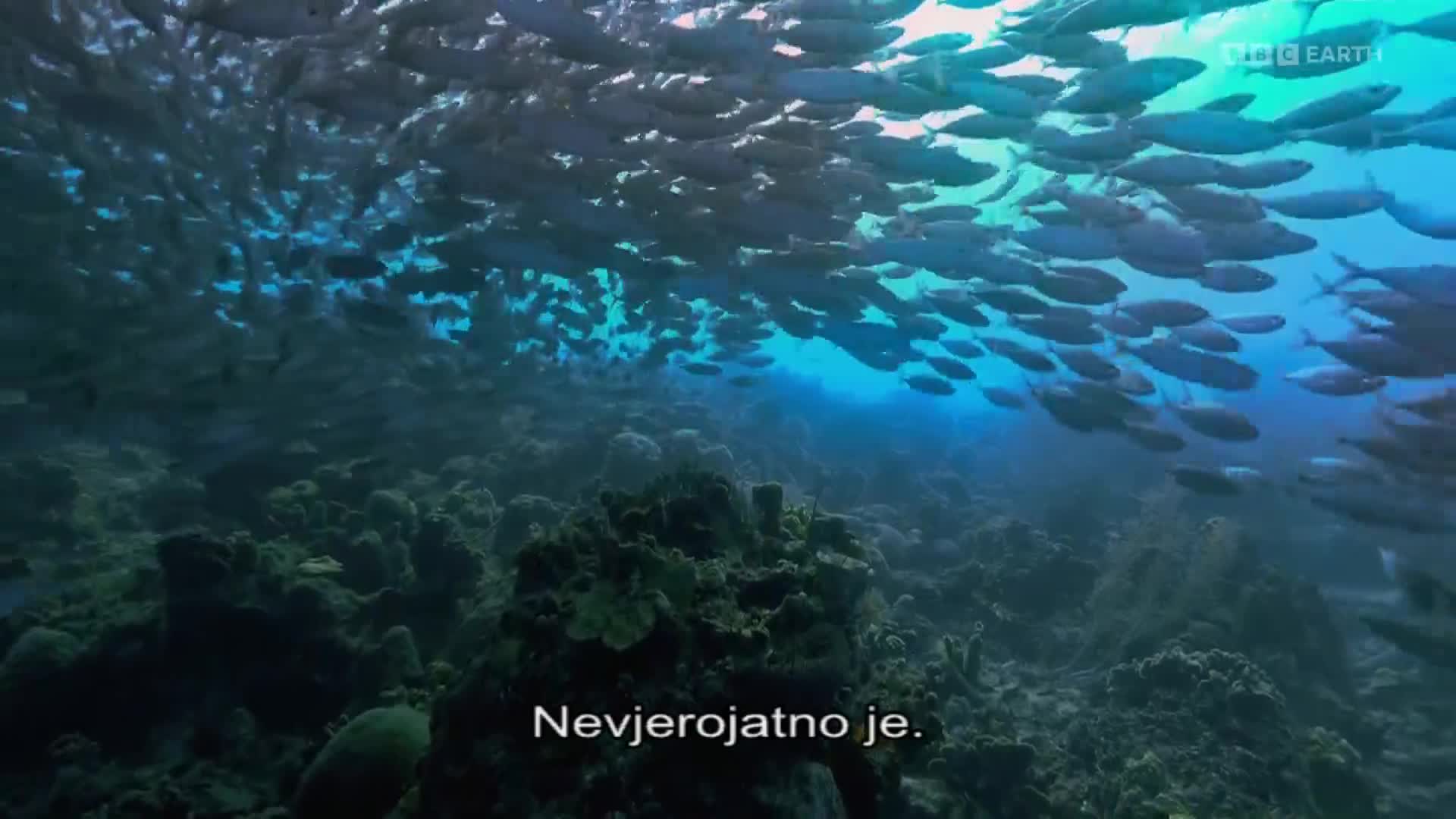 BBCEarth