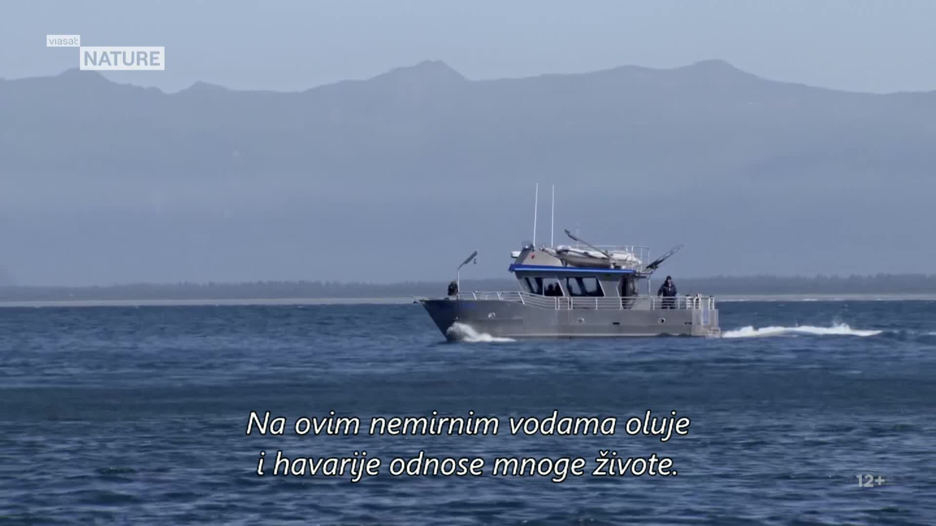 ViasatNature