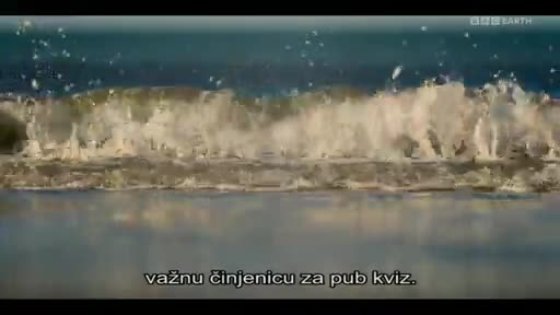 BBCEarth