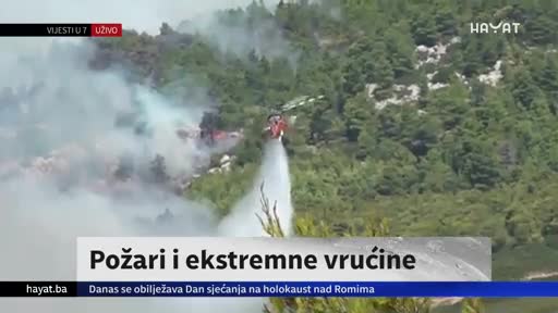 hayat