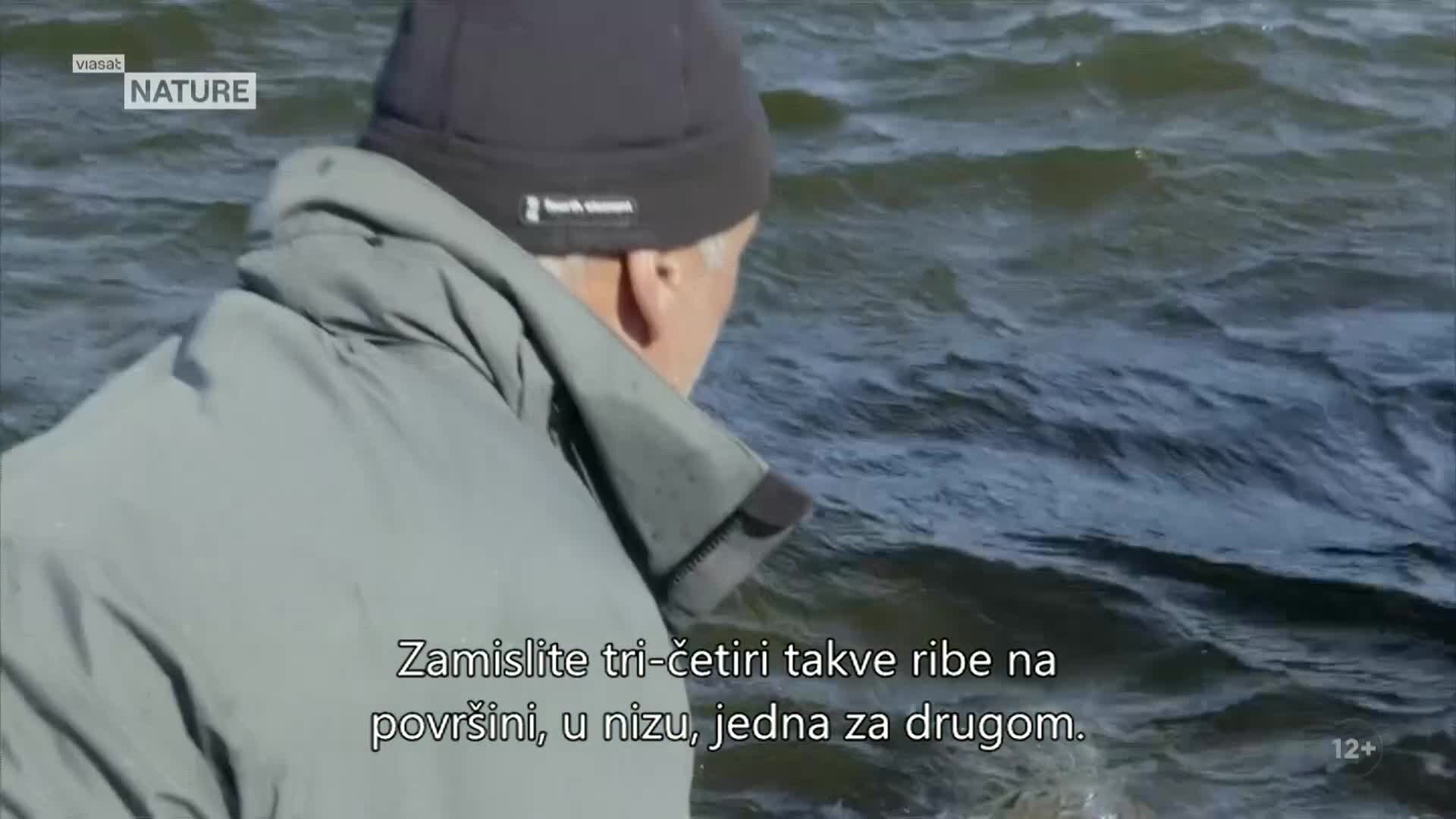 ViasatNature
