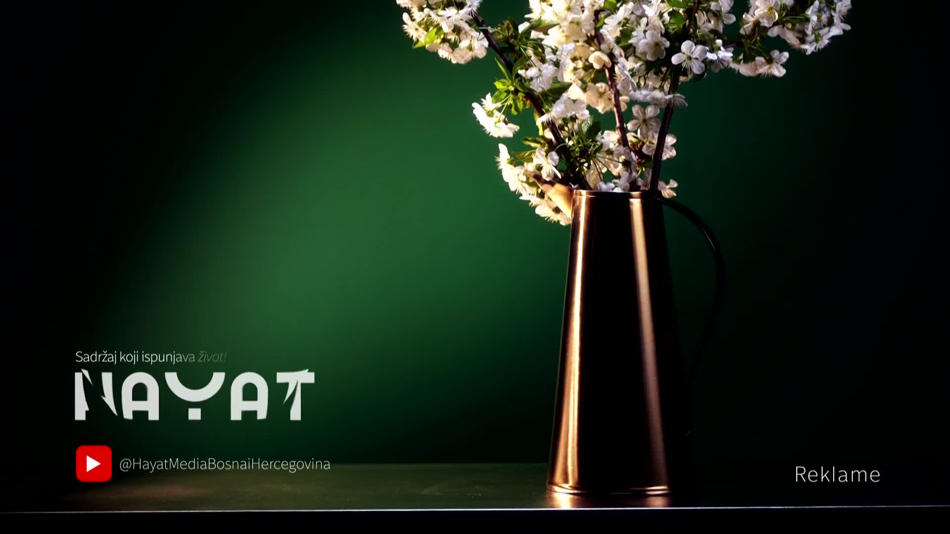 hayat