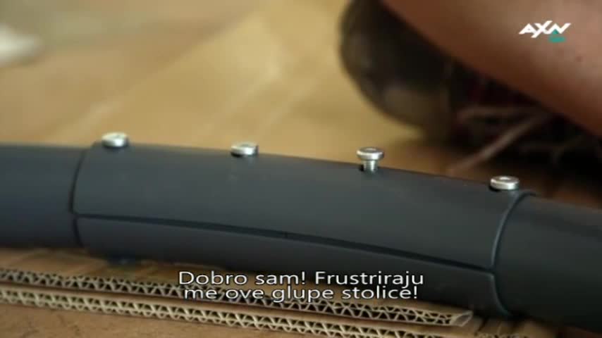 AXNSpin