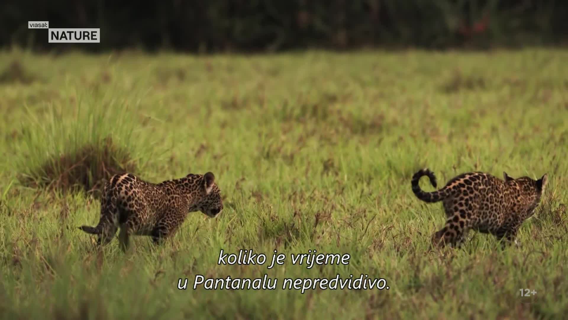 ViasatNature
