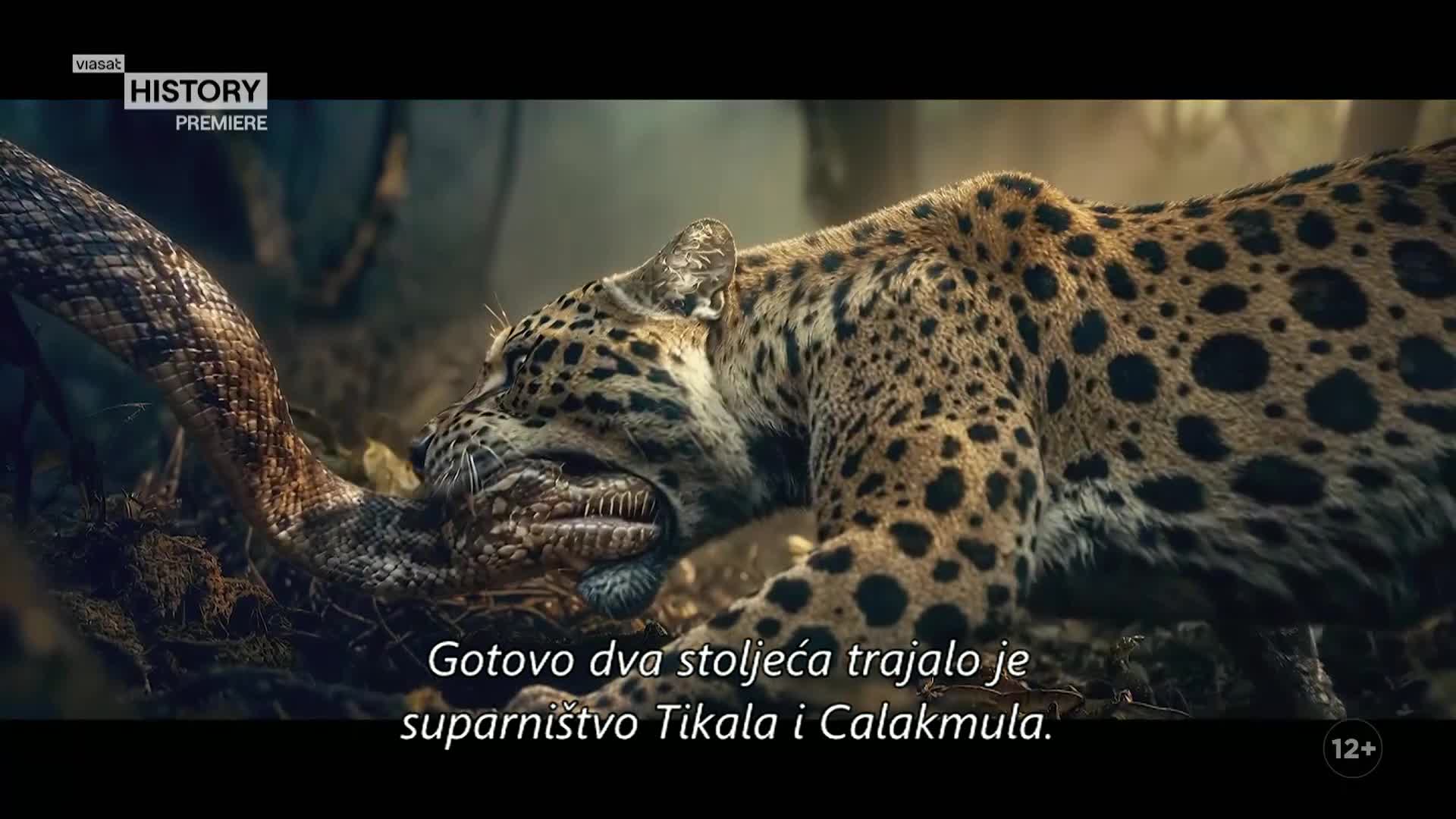 ViasatHistory