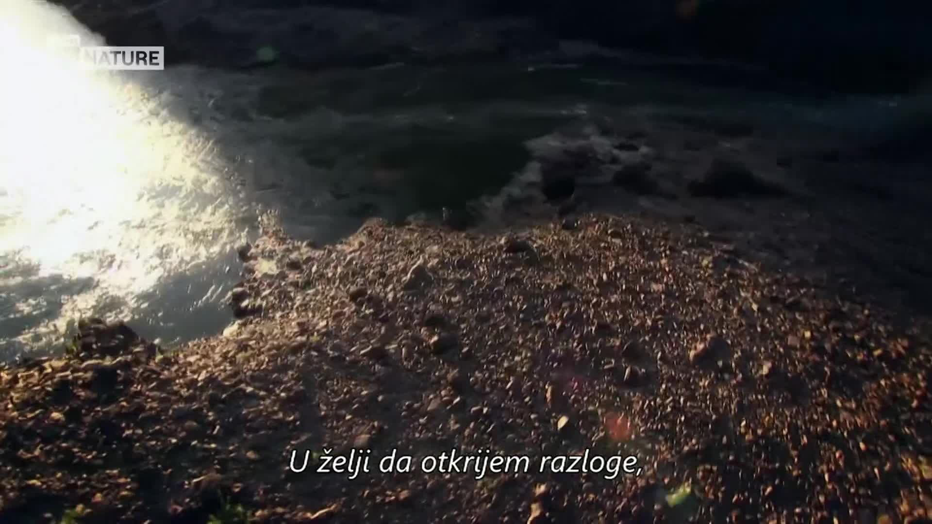 ViasatNature