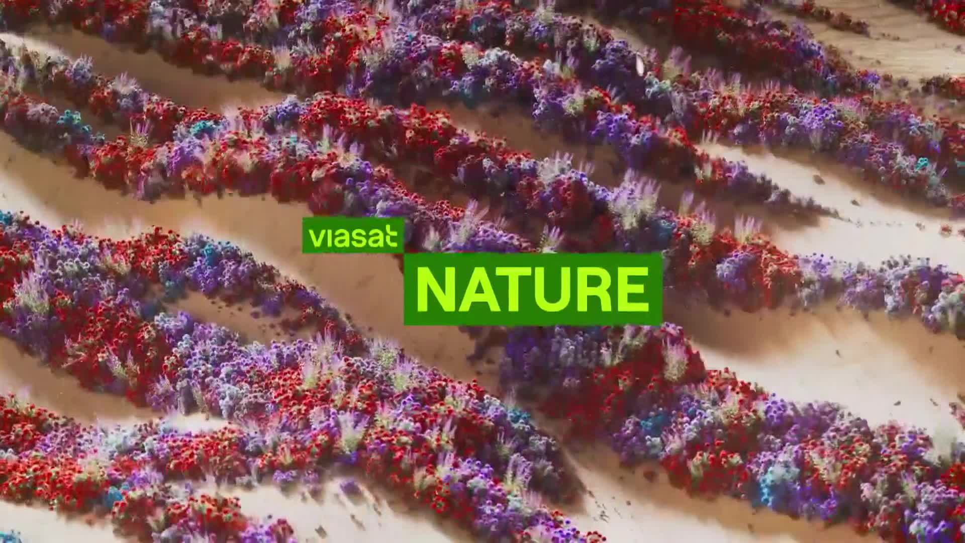 ViasatNature