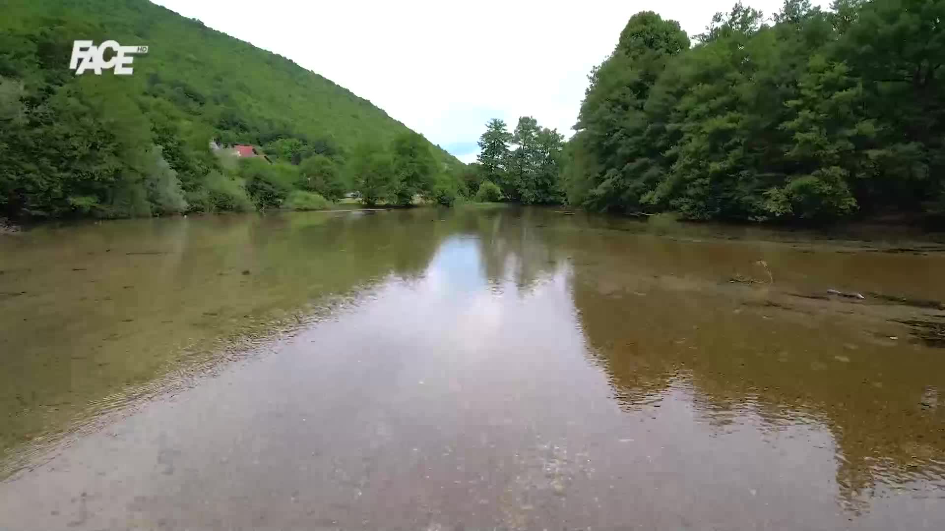 FaceTV