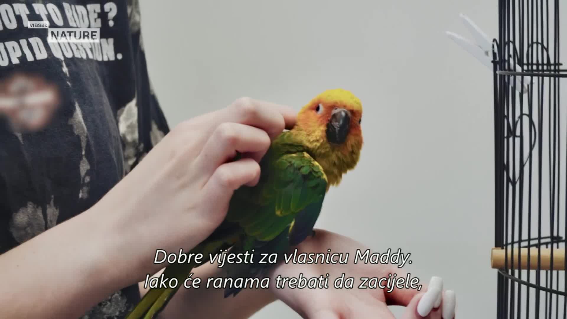 ViasatNature