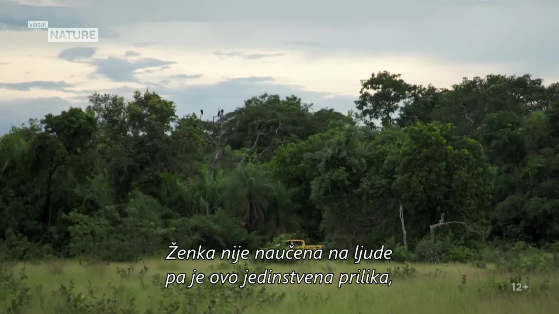 ViasatNature