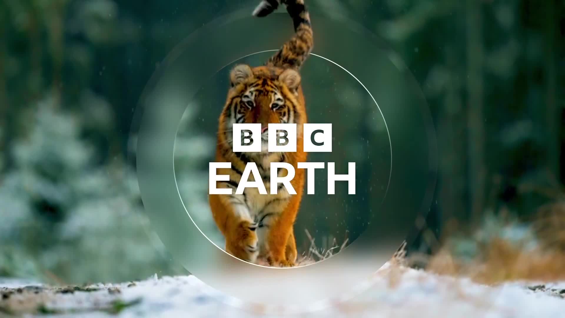 BBCEarth