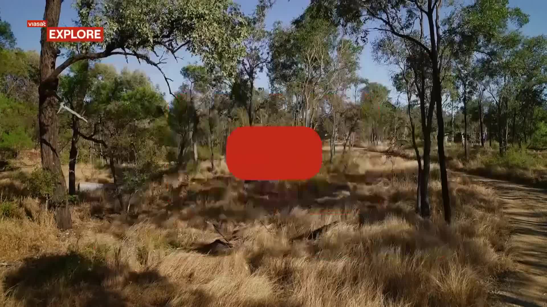 ViasatExplore